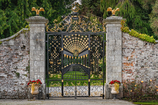 Beautiful, ornate wrought iron gate with golden details in Powerscourt gardens, Wicklow, Ireland. Brick wall with closed gate and forest in background