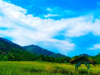 Obraz premium landscape with sky and clouds