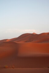 Fototapeta na wymiar Desierto del Sahara