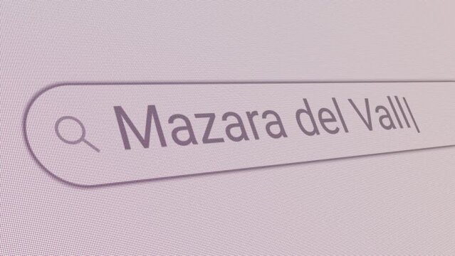 Search Bar Mazara del Vallo 
Close Up Single Line Typing Text Box Layout Web Database Browser Engine Concept