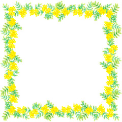 ミモザ（フサアカシア）の四角形フレーム　春の花の手描き水彩イラスト素材