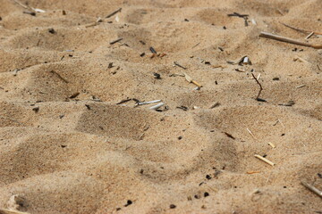 texture of sand