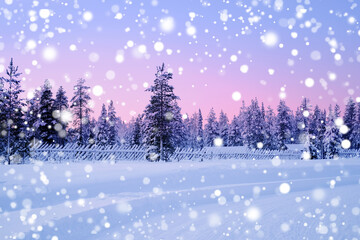 beautiful winter landscape, polar night, snowfall in forest, fluffy white snowflakes fall on...