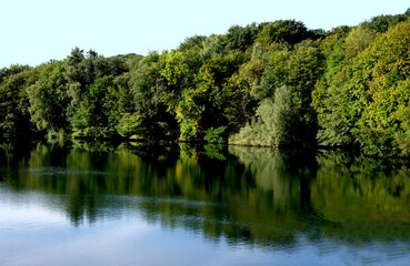 Wald dichter Baumbestand von der Sonne beschienen an einem Seeufer Spiegelung der Bäume, des blauen Himmels und weisser Wolken auf dem Wasser 