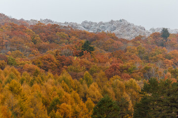 初冬　紅葉と初雪の山　岐阜県白川村　
