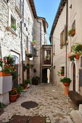 Fototapeta na wymiar A narrow street between the old stone houses of Barrea, a medieval village in the Abruzzo region of Italy.