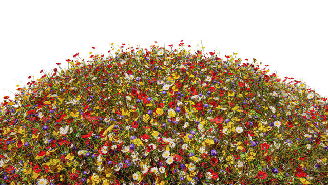 Blühende Wiese mit Wildblumen - 3D-Illustration