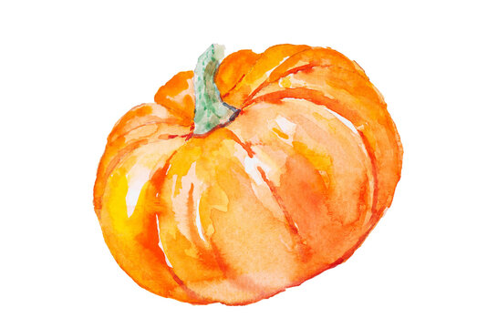 Hand painted watercolor pumpkin for halloween and Fall. Isolated object on white background.