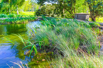 Fountain tall grass water pond park Bad Bederkesa Lake Germany.
