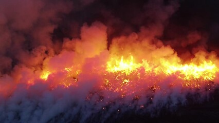 uncontrolled wildland fire. wildfire, forest fire aerial video 4K. natural disasters, result of climate change, dry grass and forest burning.