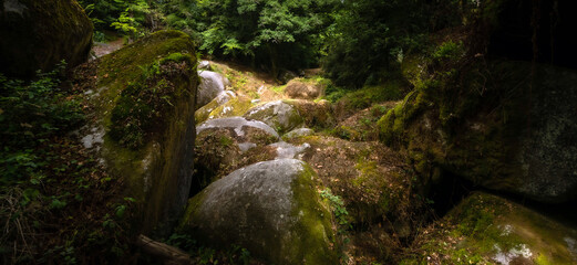 Forêt de Huelgoat