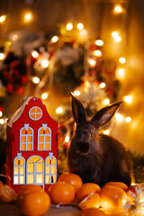 Christmas card. 2023 is the year of the black rabbit in the Chinese calendar. The hare is sitting...