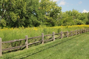 fence in the field