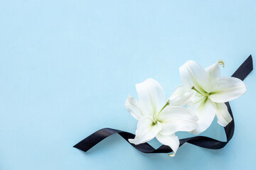 Flowers heads of white lilies with black ribbon. Mourning or funeral background