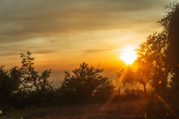 Bright sun shining during Golden Hour - Beautiful scenic view of Sunset through Trees
