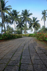 Palm trees and Blooming flowers along the walkway