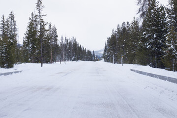 Obraz premium Winter wonderland