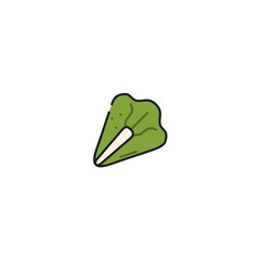 leaf of salad lettuce icon, vector illustration
