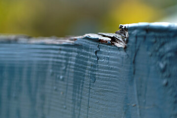 A damaged timber guardrail with faded blue paint, covered in rain. Out of focus tree foliage in the...