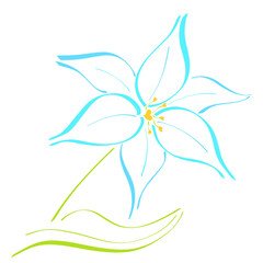 lovely delicate blue lily with stamens with hearts, colorful sketch on a white background