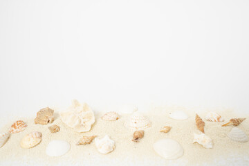 Minimal concept of beach holiday with sand, seashells on white background. Tropical summer vacation concept with copy space. Flat lay nature beach shore idea.