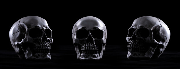 Obraz na płótnie Canvas Halloween human skull on an old wooden table over black background. Shape of skull bone for Death head on halloween festival which show horror evil. Front side left right view, copy space