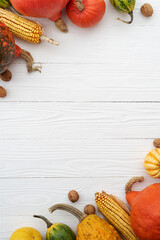 Autumn background with pumpkin harvest