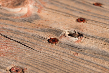 Rusted screws