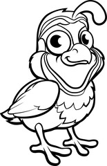 A quail bird cute cartoon character outline coloring illustration