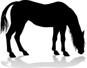 Horse Animal Silhouette