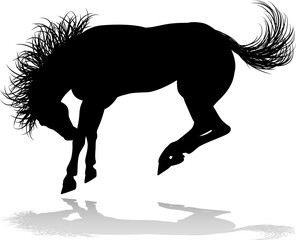 Horse Animal Silhouette © Christos Georghiou