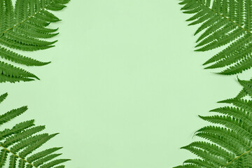 Green fern leaves in angles with light green empty copy space in center, flat lay top view. Four green fresh fern leaves from summer forest, ecology pure nature flat lay concept