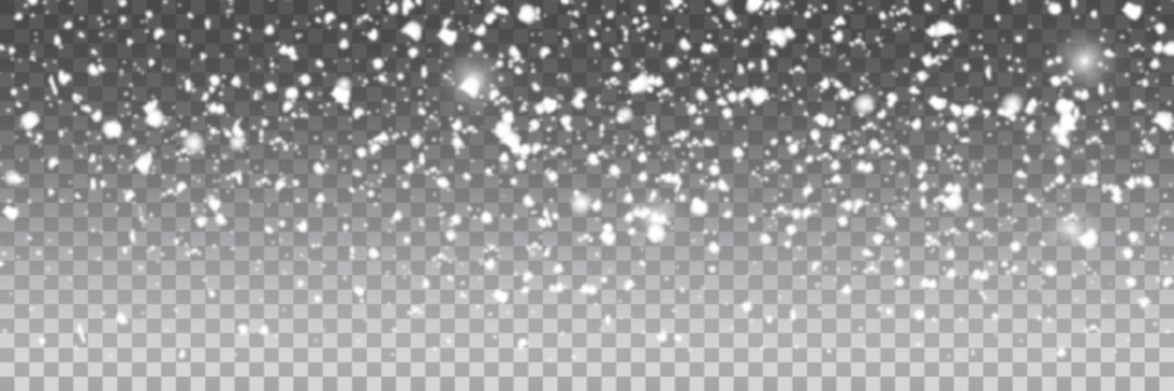 Snow. Vector transparent snow background. Winter and New Year snow decoration with panorama view.