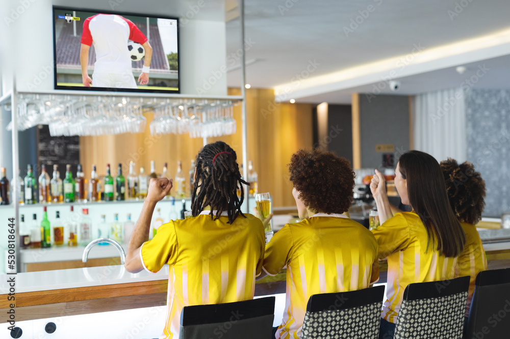 Poster Diverse friends supporting and watching tv in bar with football match on screen