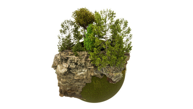 Wald auf einem Teilstück der Erde - 3D-Illustration