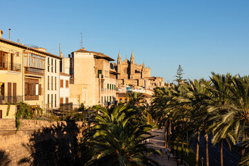 Fototapeta na wymiar Paseo marítimo de Palma de Mallorca, con la catedral al fondo y las palmeras bordeando la acera. Mallorca, Islas Baleares, España.