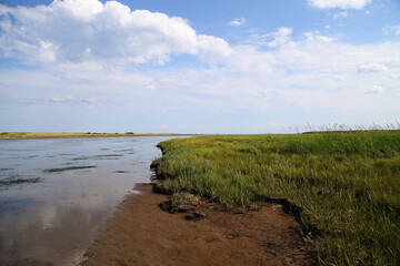 Landscape at the Kouchibouguac National Park, Canada