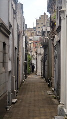 Fototapeta premium Tombs along an alley in La Recoleta Cemetery in Buenos Aires, Argentina