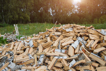 The pile of firewood against the background of a green forest in summer. Environmental harm