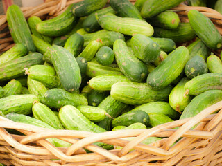 Fresh pickles