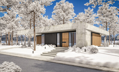 3d rendering of new concrete house in modern style with pool and parking for sale or rent and beautiful landscaping on background. The house has only one floor. Cool winter day with shiny white snow.