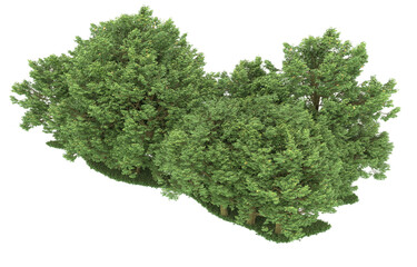 Forest on transparent background. 3d rendering - illustration