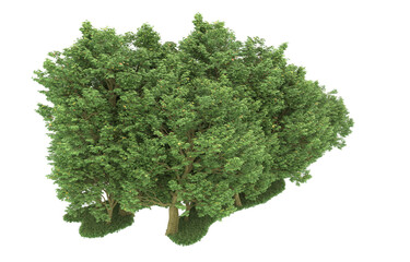 Obraz premium Forest on transparent background. 3d rendering - illustration