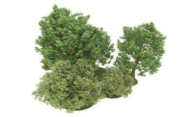Obraz premium Forest on transparent background. 3d rendering - illustration