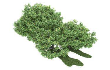 Fototapeta premium Forest on transparent background. 3d rendering - illustration