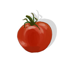tomato isolated on white background