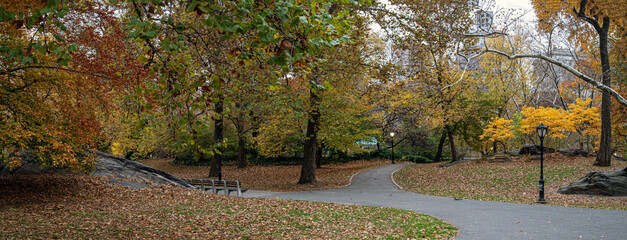 Autumn in Central Park