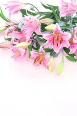 美しいピンクの百合の花束