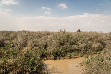 Obraz premium Bushes