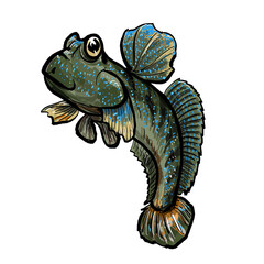mudskipper